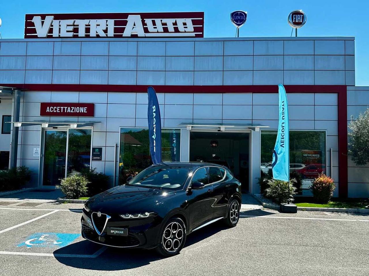 Alfa Romeo Alfa Romeo Tonale usata 11