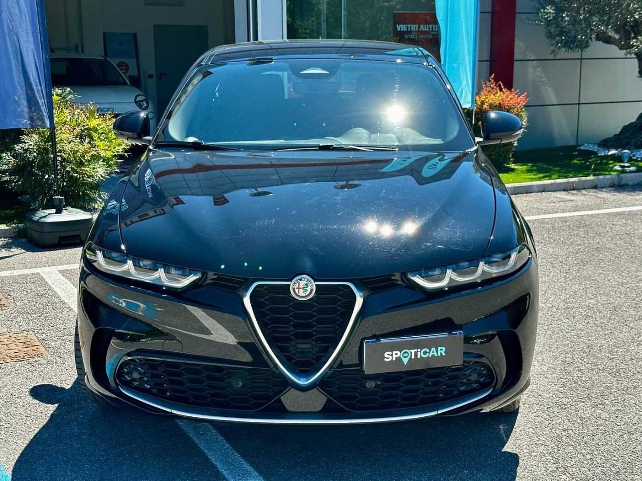 Alfa Romeo Alfa Romeo Tonale usata 24