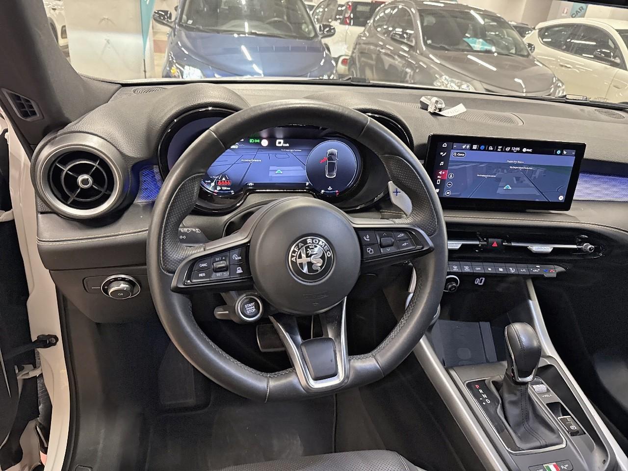 Alfa Romeo Alfa Romeo Tonale usata 7