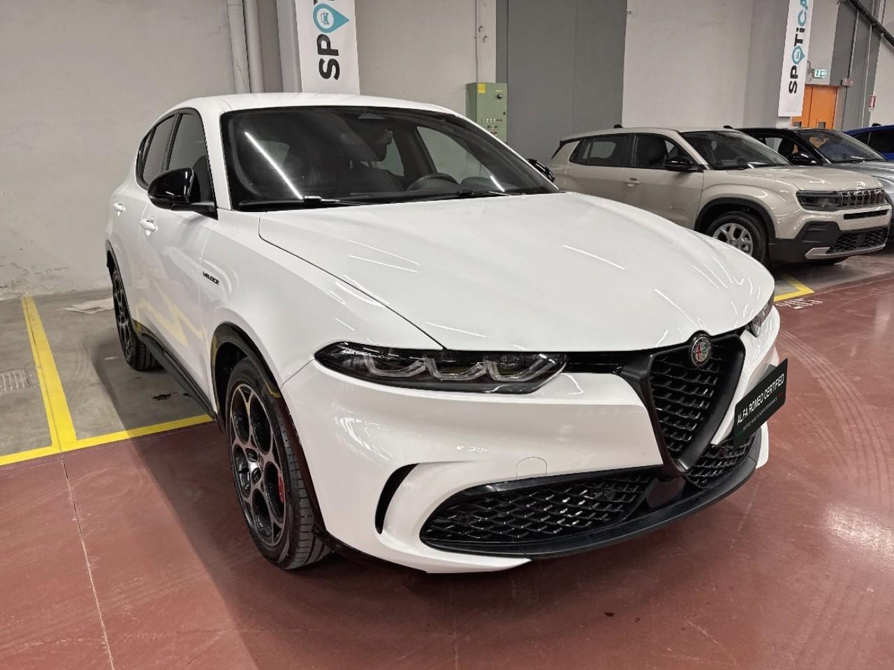 Alfa Romeo Alfa Romeo Tonale usata 14
