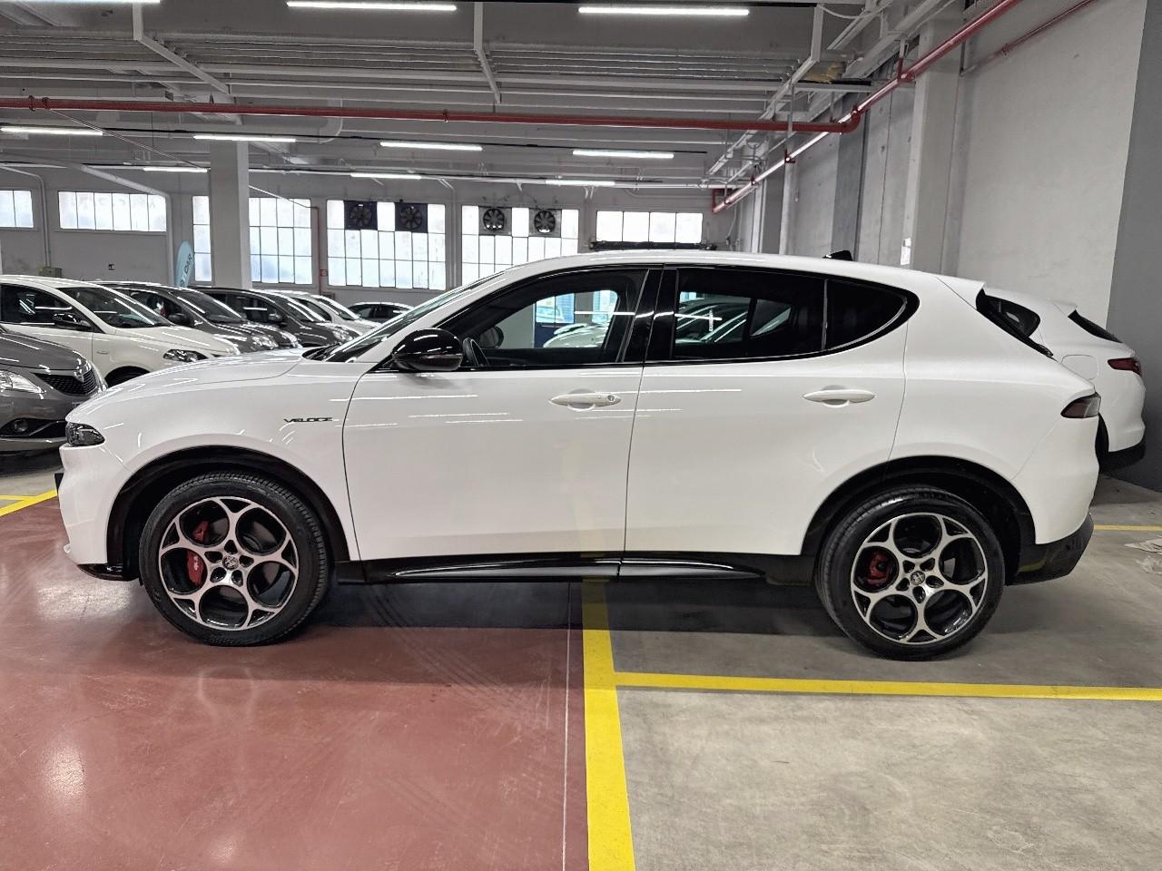 Alfa Romeo Alfa Romeo Tonale usata 15
