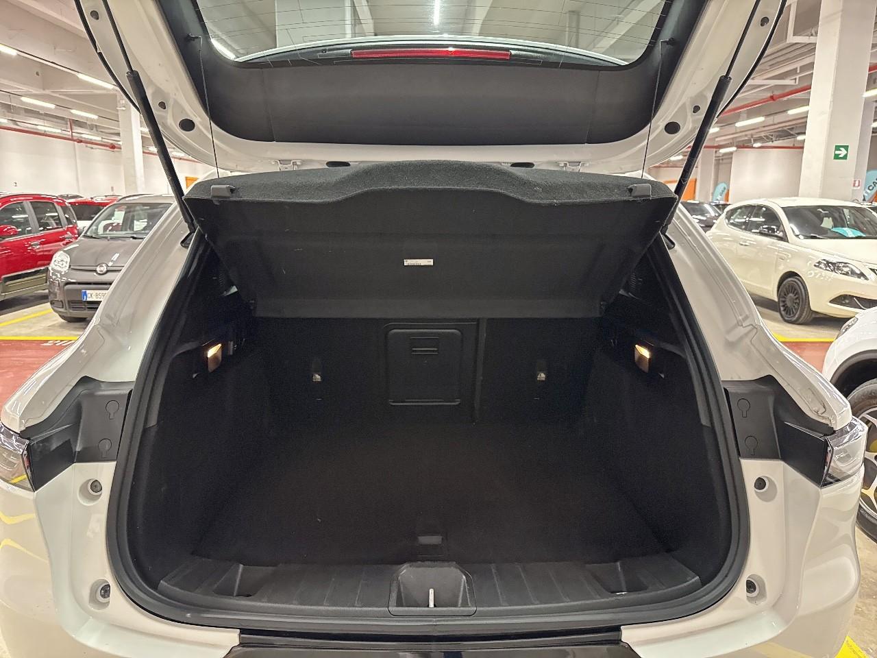Alfa Romeo Alfa Romeo Tonale usata 17