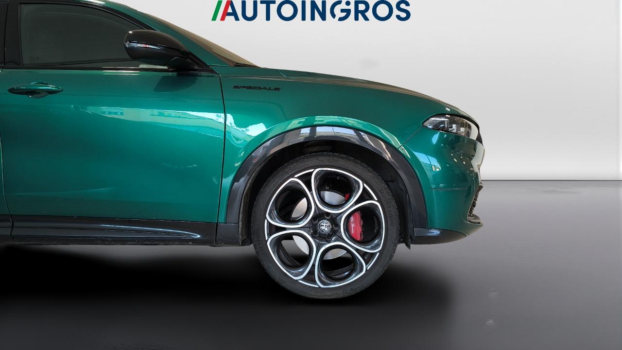 Alfa Romeo Alfa Romeo Tonale usata 7