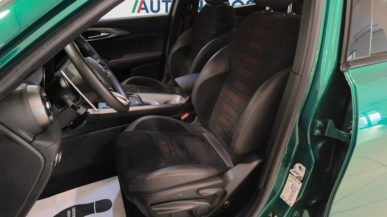 Alfa Romeo Alfa Romeo Tonale usata 13
