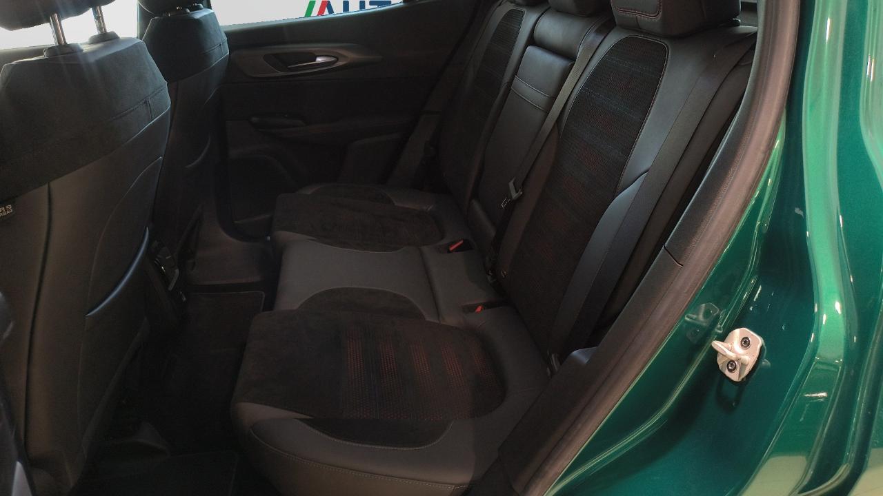 Alfa Romeo Alfa Romeo Tonale usata 14