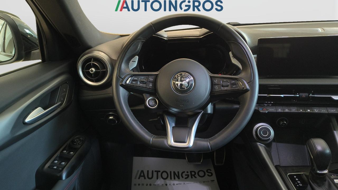 Alfa Romeo Alfa Romeo Tonale usata 20