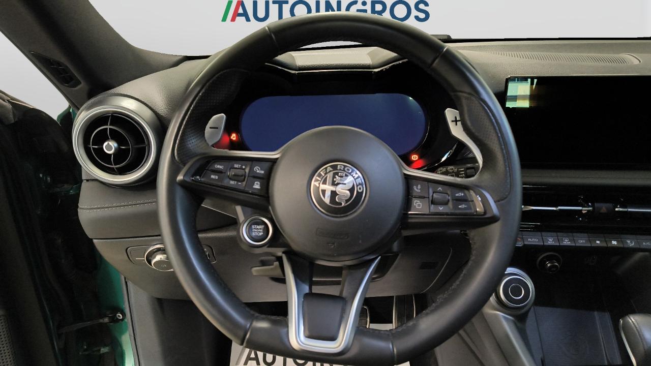 Alfa Romeo Alfa Romeo Tonale usata 21