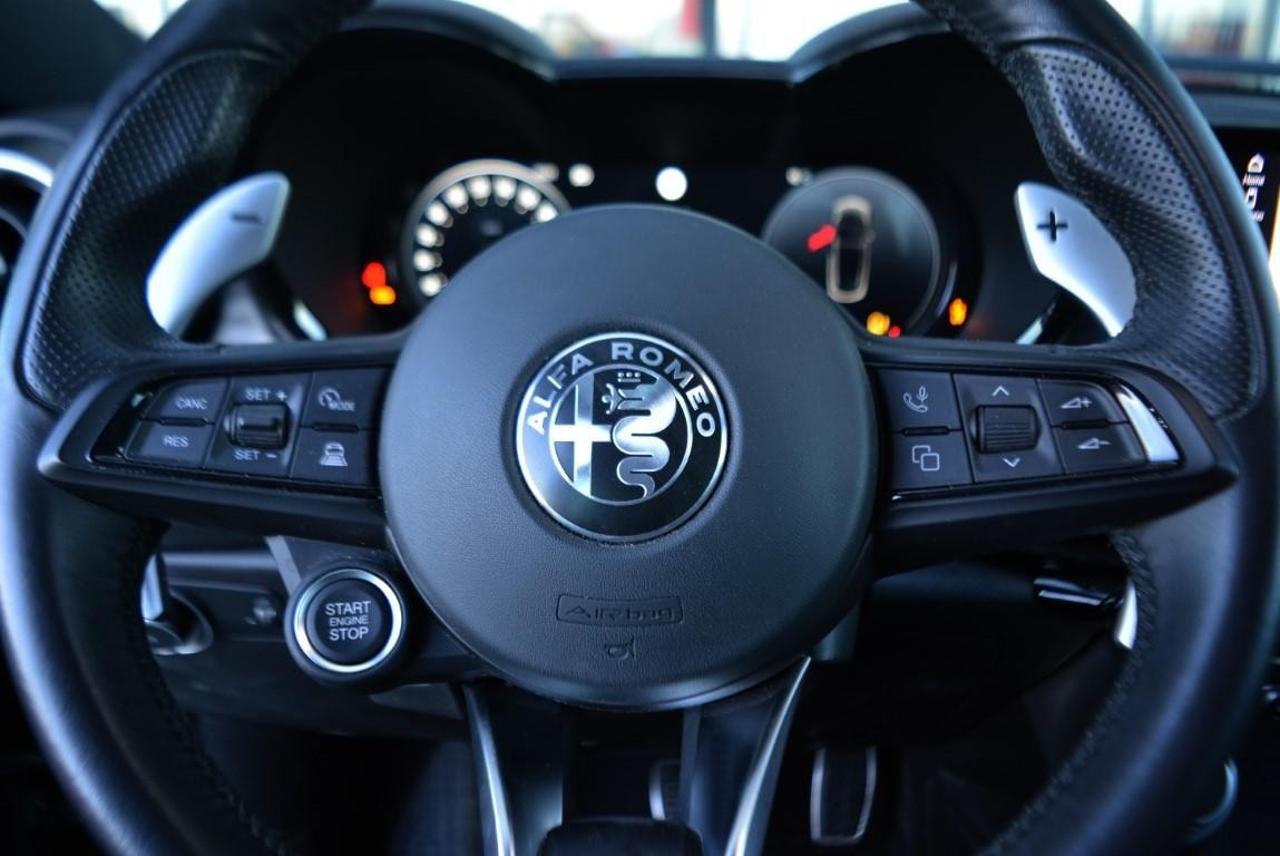 Alfa Romeo Alfa Romeo Tonale usata 7