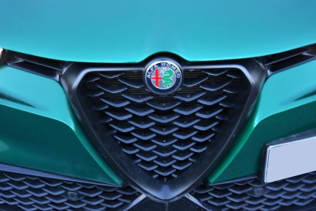 Alfa Romeo Alfa Romeo Tonale usata 13