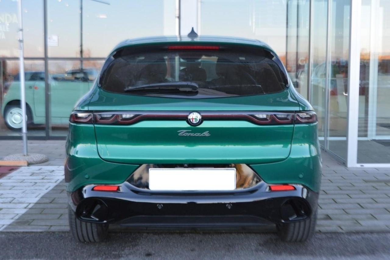 Alfa Romeo Alfa Romeo Tonale usata 18