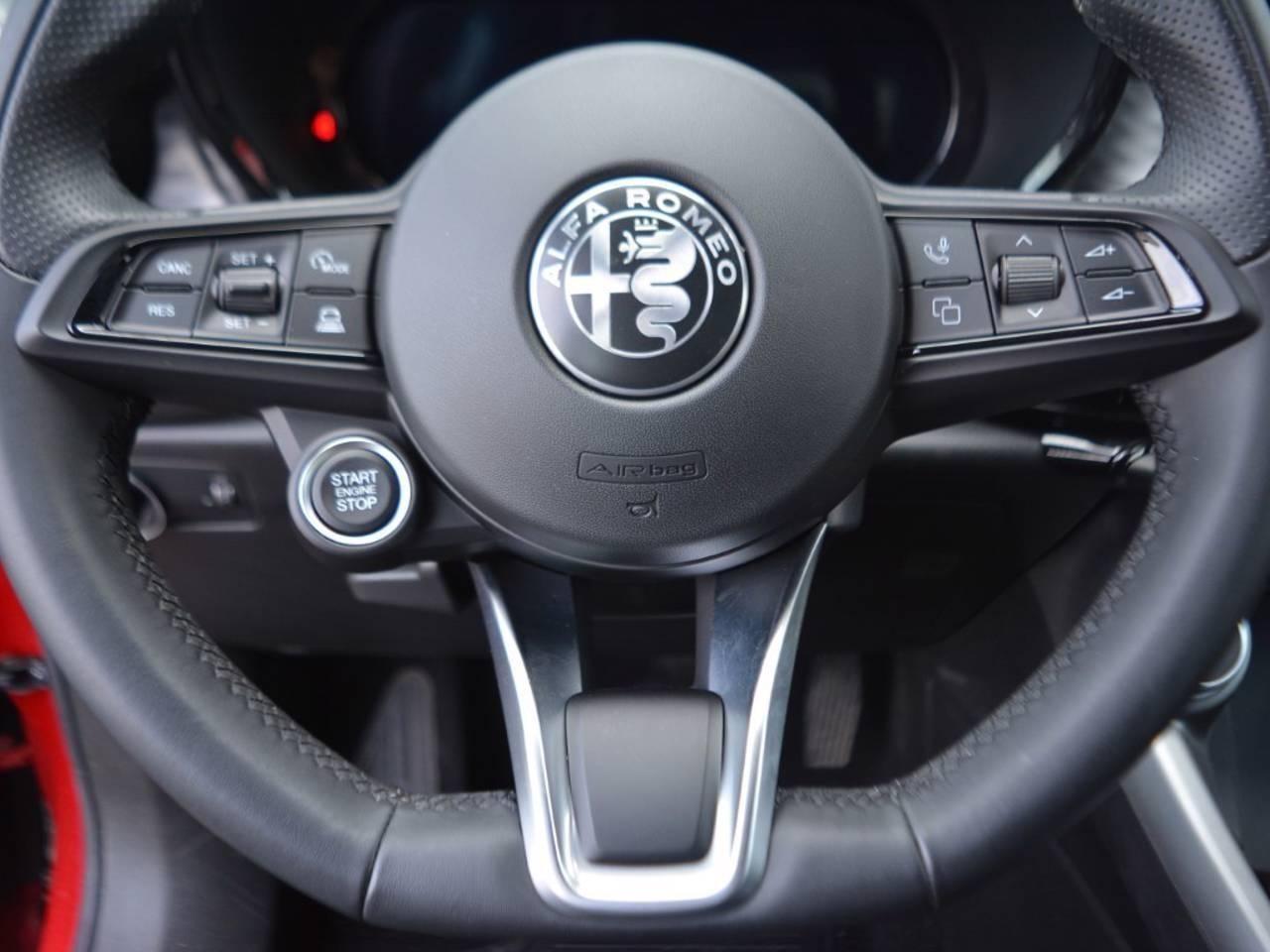 Alfa Romeo Alfa Romeo Tonale usata 8