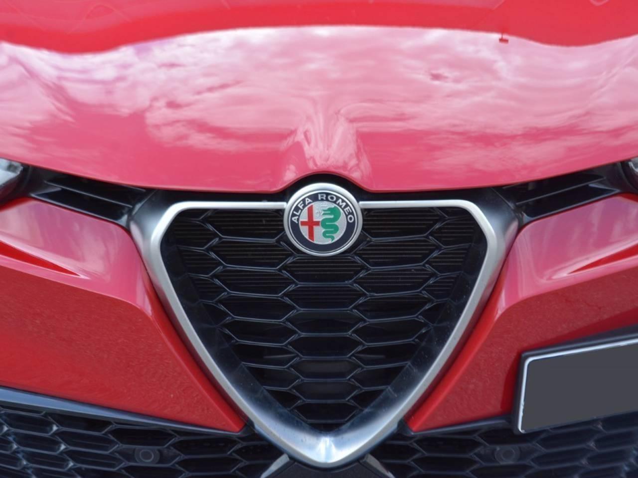 Alfa Romeo Alfa Romeo Tonale usata 14