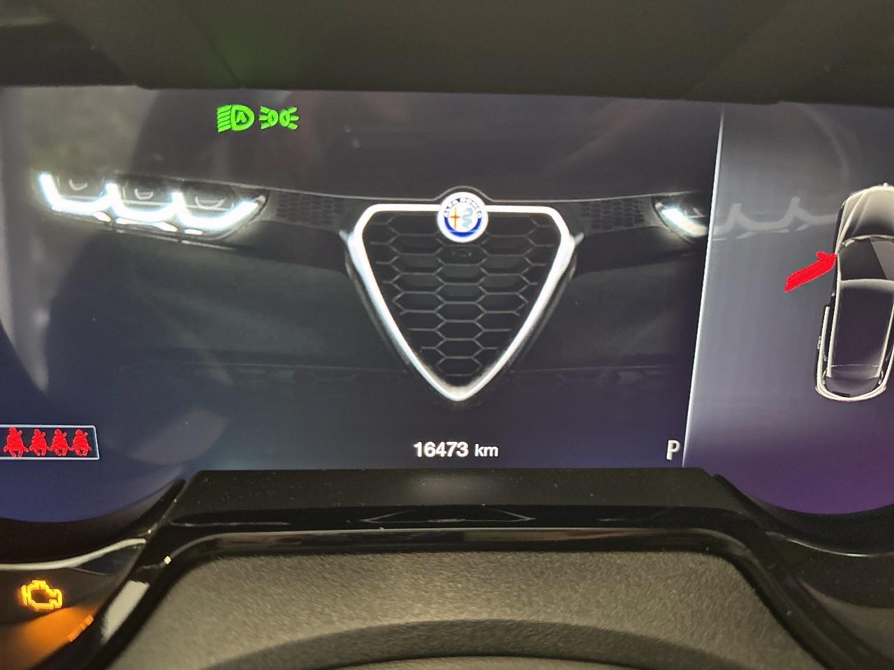 Alfa Romeo Alfa Romeo Tonale usata 6