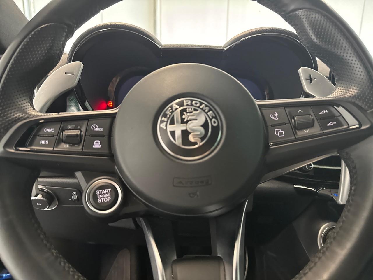 Alfa Romeo Alfa Romeo Tonale usata 10