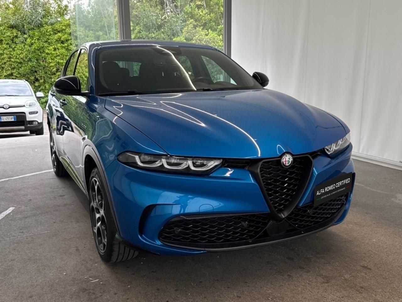 Alfa Romeo Alfa Romeo Tonale usata 14