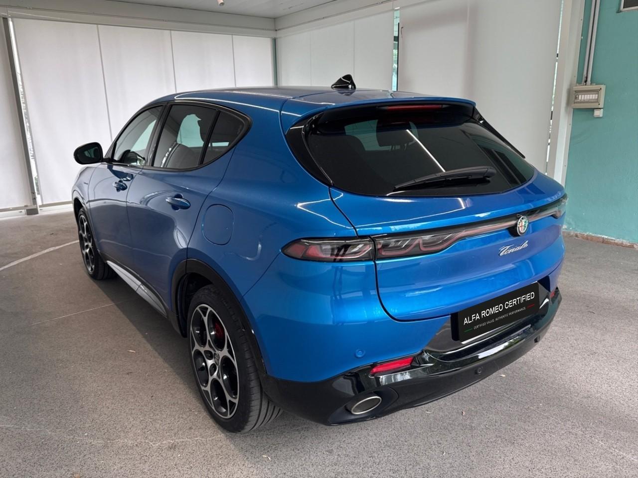 Alfa Romeo Alfa Romeo Tonale usata 18