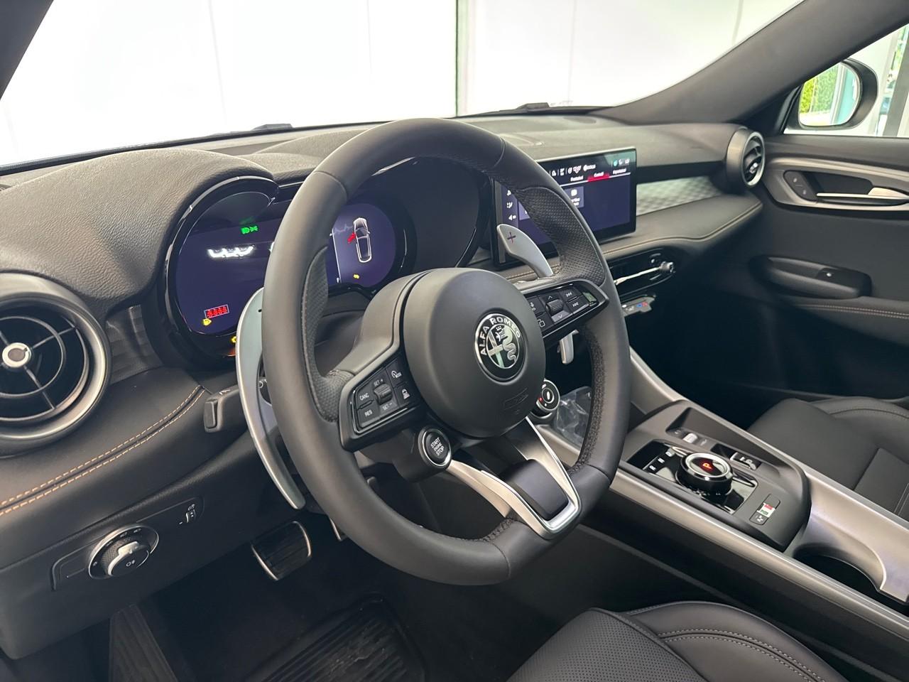 Alfa Romeo Alfa Romeo Tonale usata 6