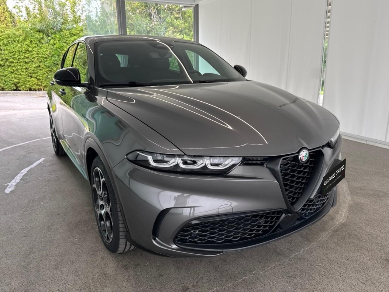 Alfa Romeo Alfa Romeo Tonale usata 14