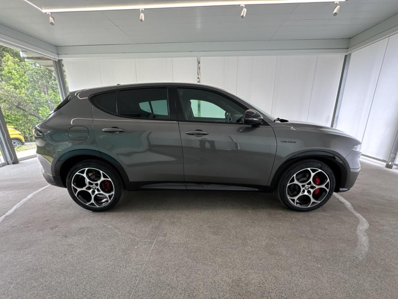 Alfa Romeo Alfa Romeo Tonale usata 15