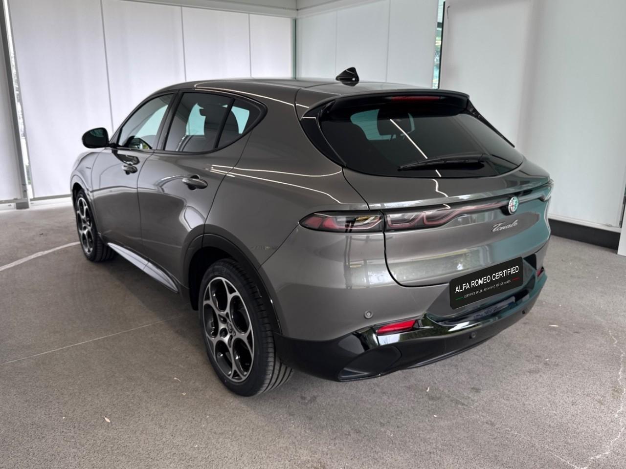 Alfa Romeo Alfa Romeo Tonale usata 18