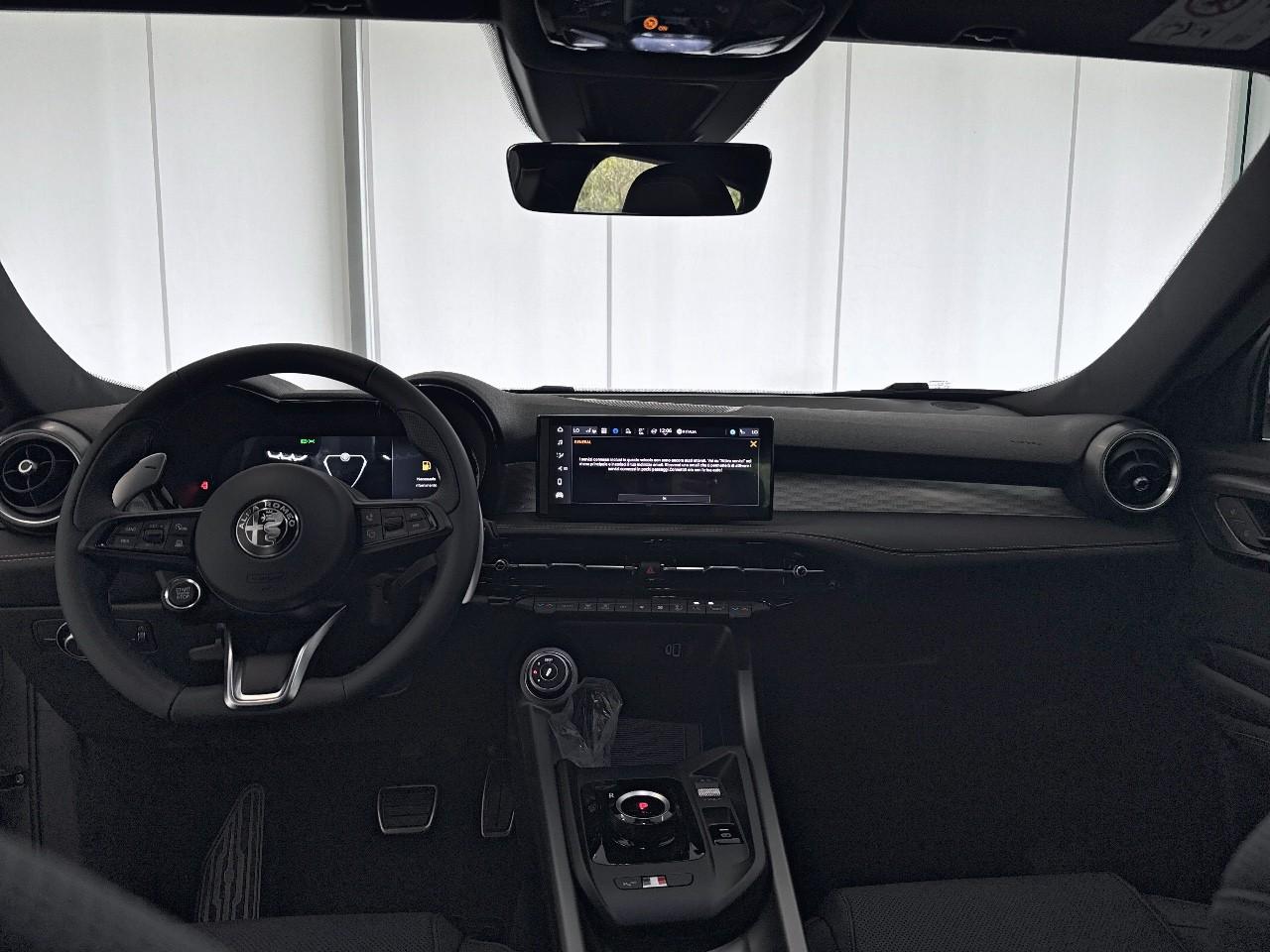 Alfa Romeo Alfa Romeo Tonale usata 19