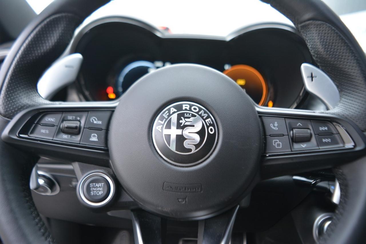 Alfa Romeo Alfa Romeo Tonale usata 7
