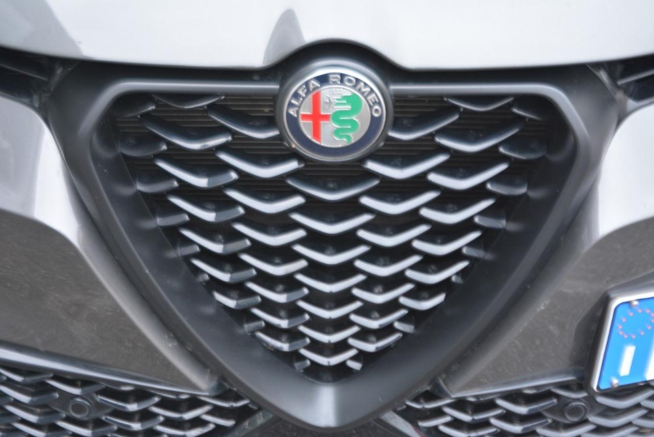 Alfa Romeo Alfa Romeo Tonale usata 12