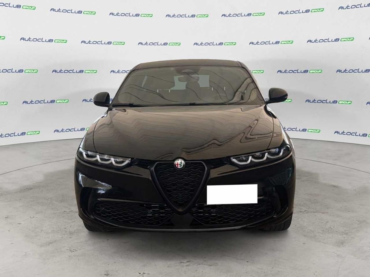 Alfa Romeo Alfa Romeo Tonale usata 11