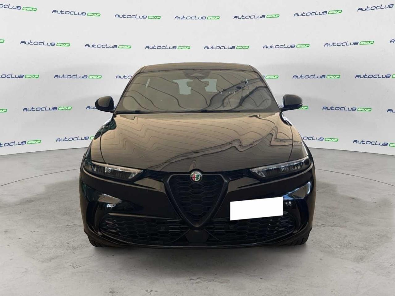 Alfa Romeo Alfa Romeo Tonale usata 11