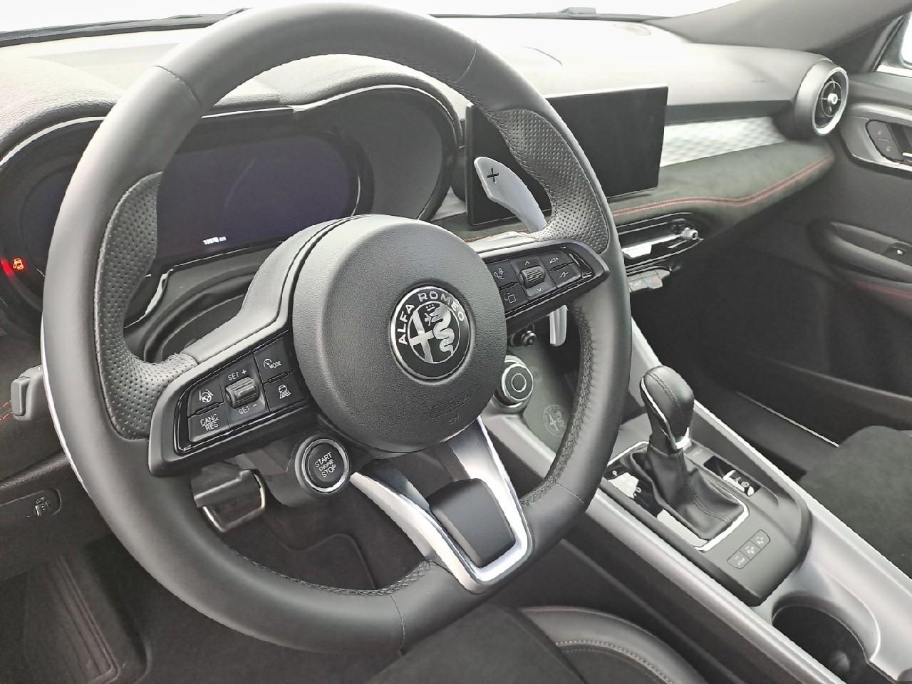 Alfa Romeo Alfa Romeo Tonale usata 7
