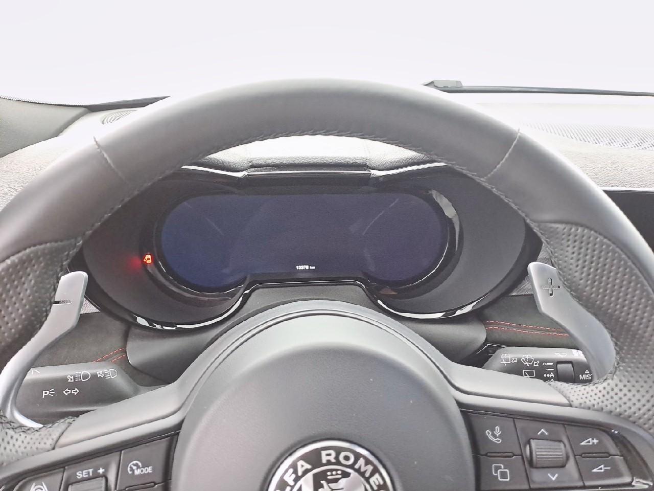 Alfa Romeo Alfa Romeo Tonale usata 8