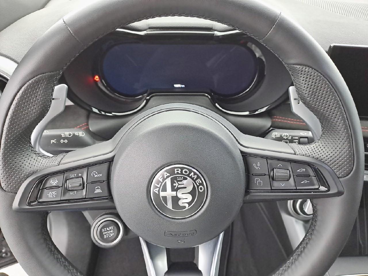 Alfa Romeo Alfa Romeo Tonale usata 10