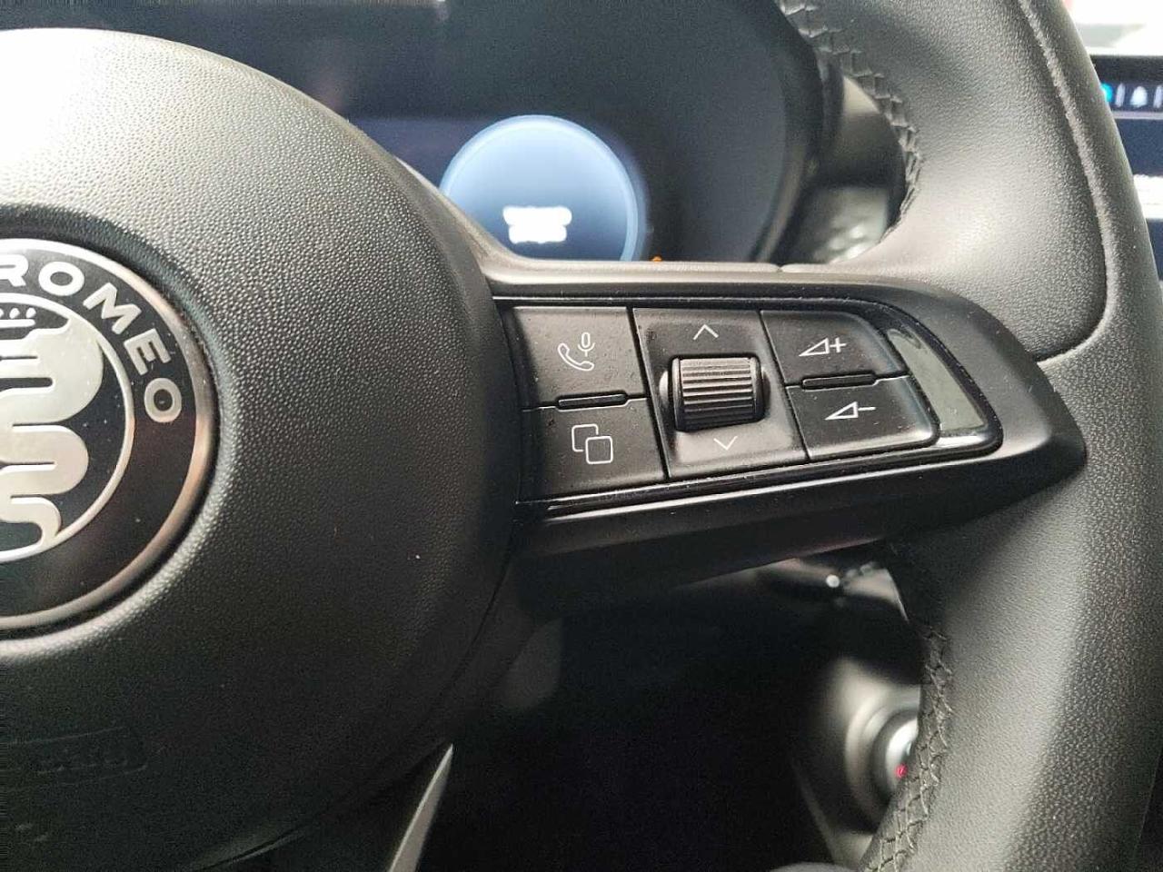 Alfa Romeo Alfa Romeo Tonale usata 8