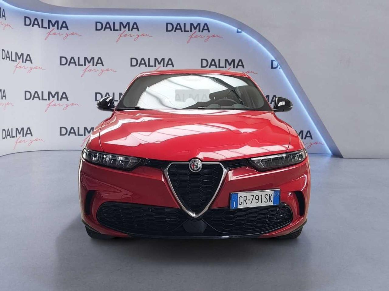 Alfa Romeo Alfa Romeo Tonale usata 19