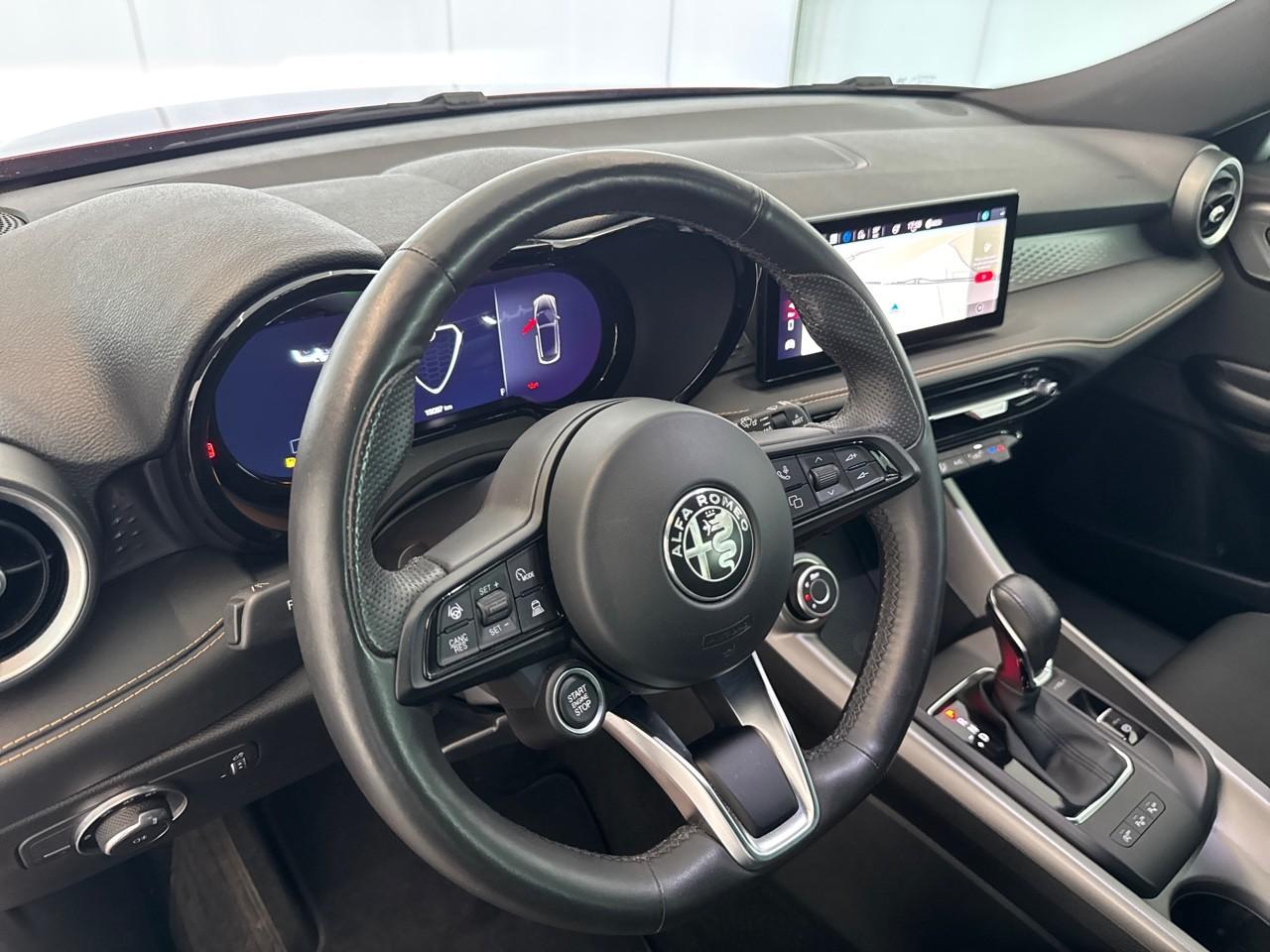 Alfa Romeo Alfa Romeo Tonale usata 7