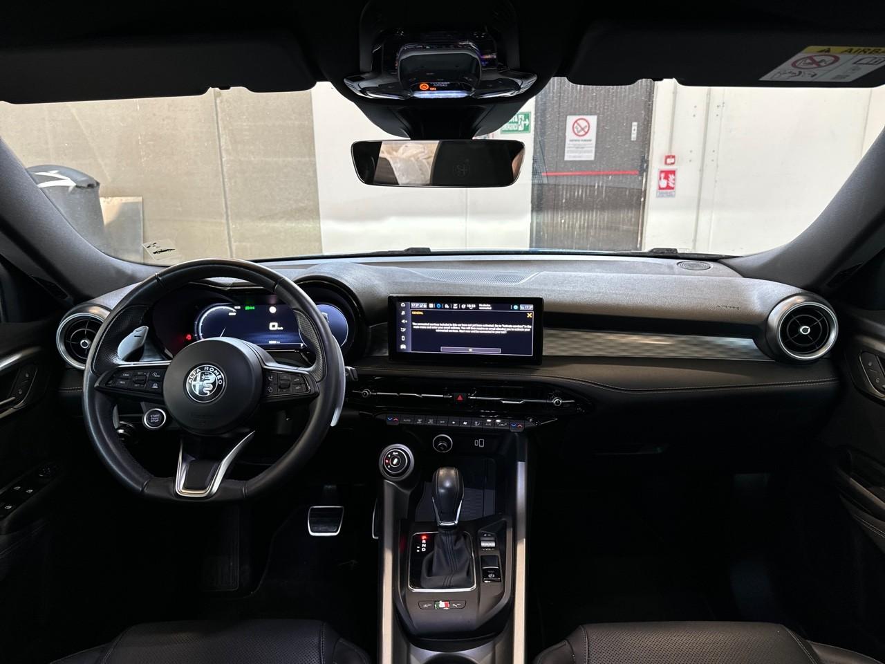 Alfa Romeo Alfa Romeo Tonale usata 19