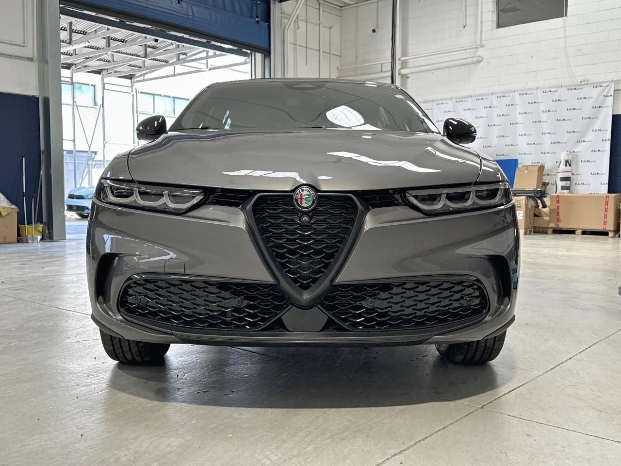 Alfa Romeo Alfa Romeo Tonale usata 11