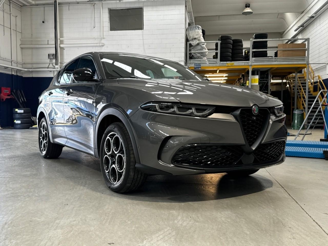 Alfa Romeo Alfa Romeo Tonale usata 14