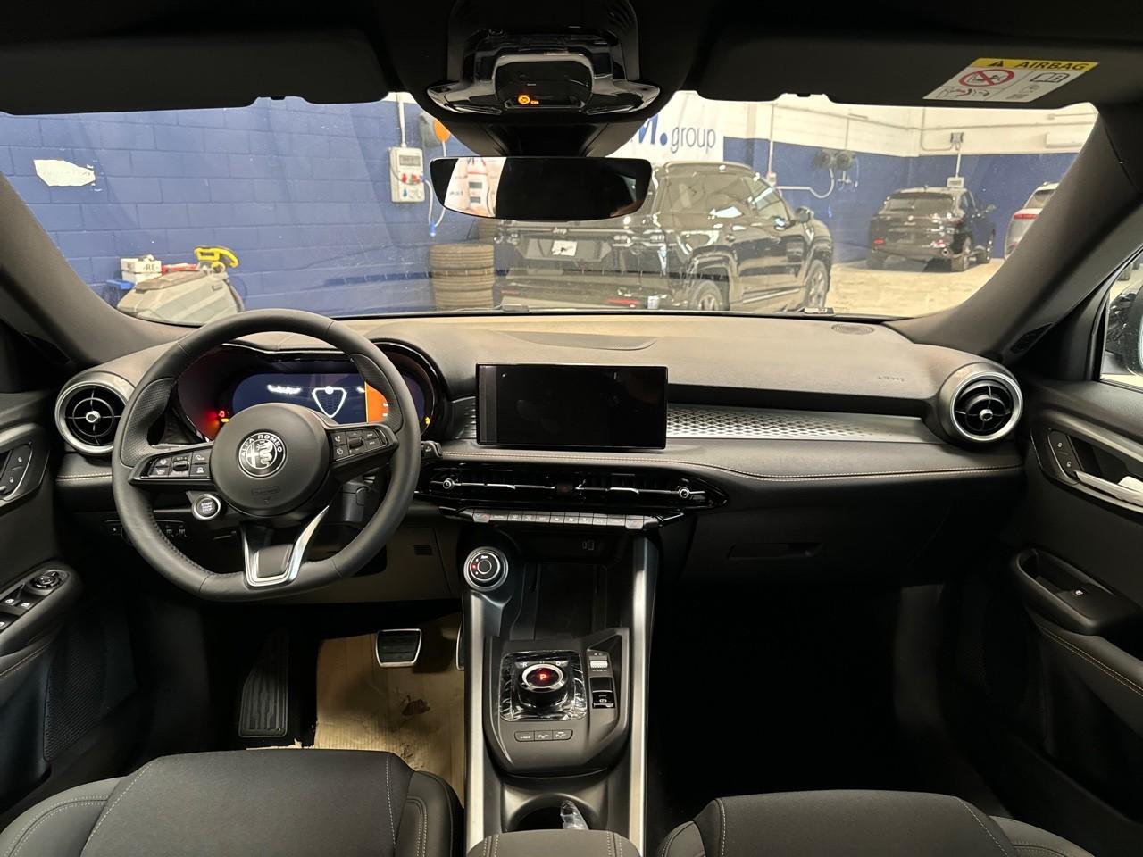 Alfa Romeo Alfa Romeo Tonale usata 19