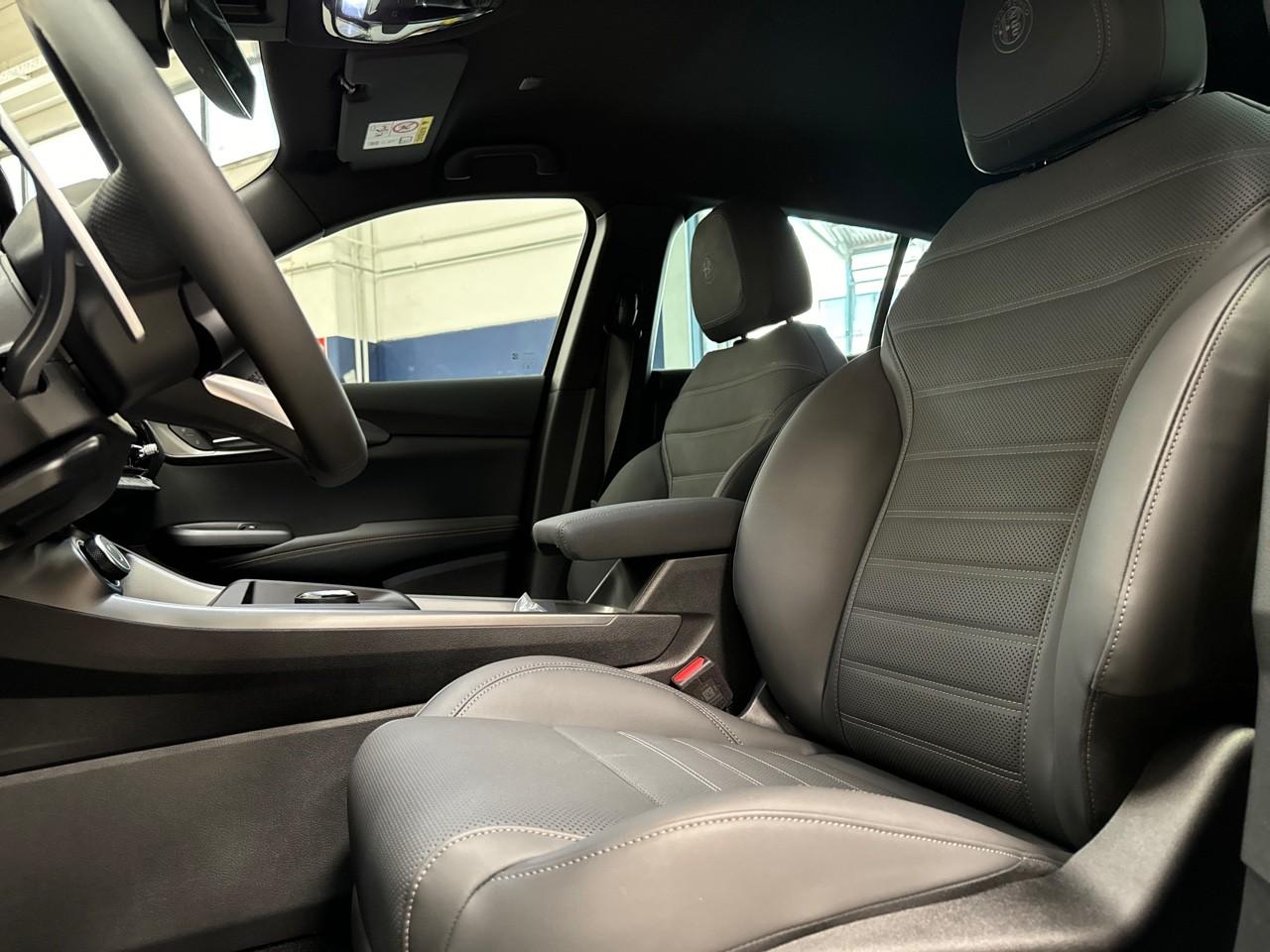 Alfa Romeo Alfa Romeo Tonale usata 20