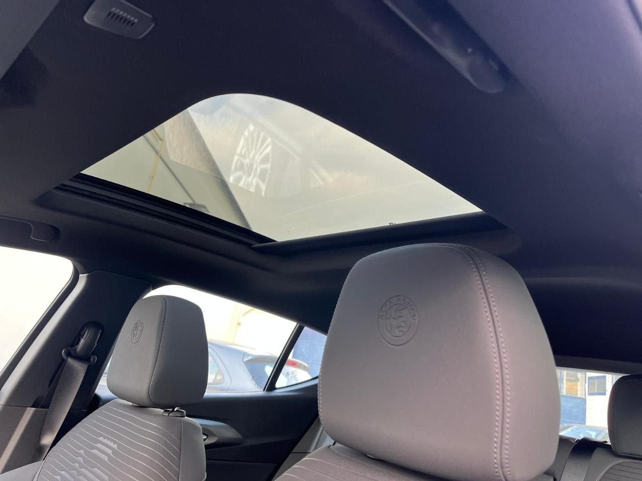 Alfa Romeo Alfa Romeo Tonale usata 6