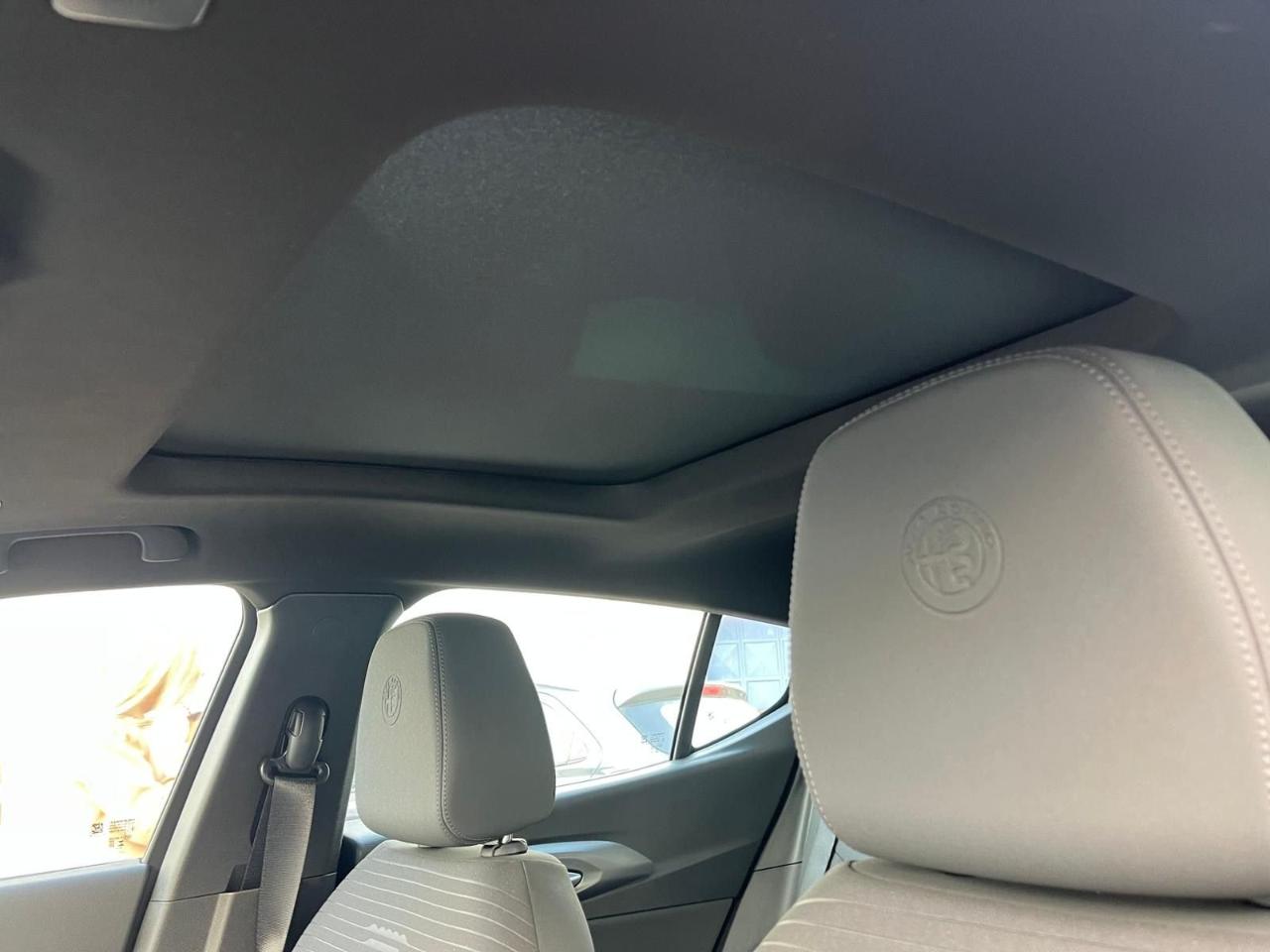 Alfa Romeo Alfa Romeo Tonale usata 7