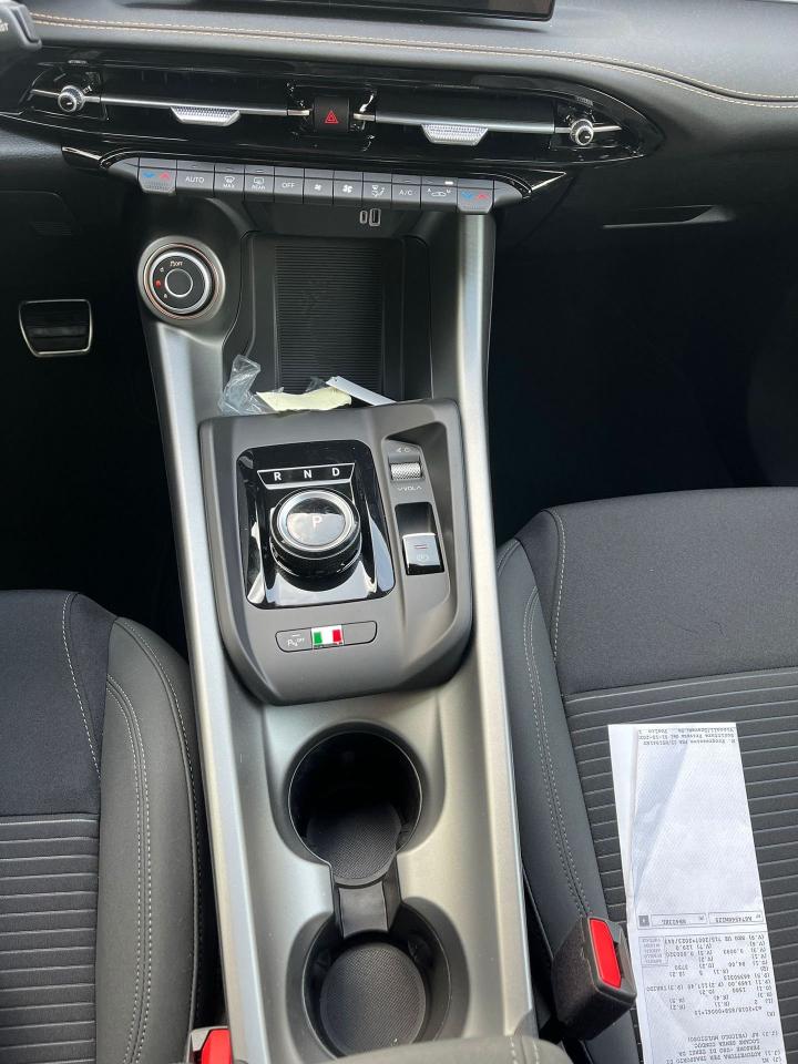 Alfa Romeo Alfa Romeo Tonale usata 10