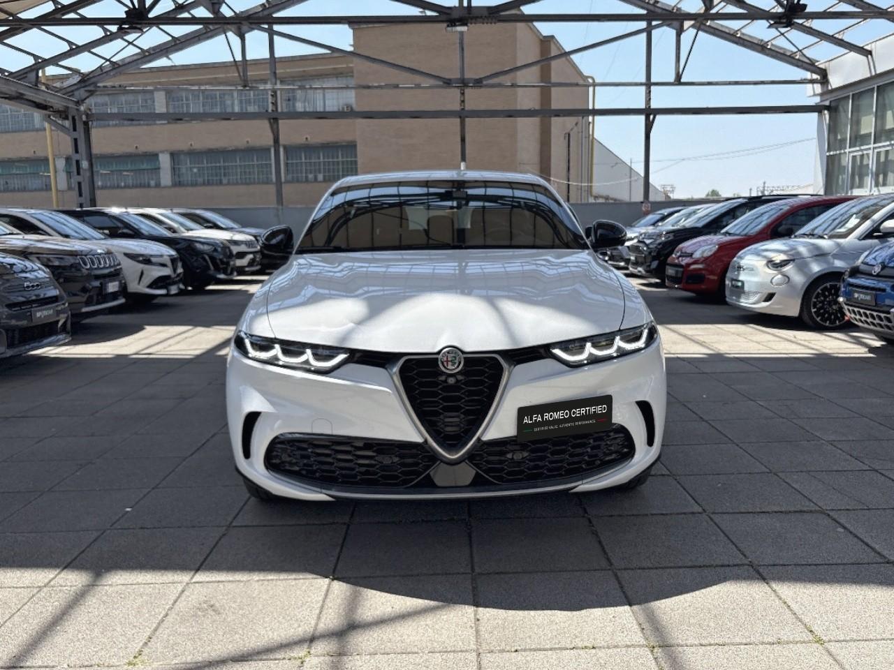 Alfa Romeo Alfa Romeo Tonale usata 11