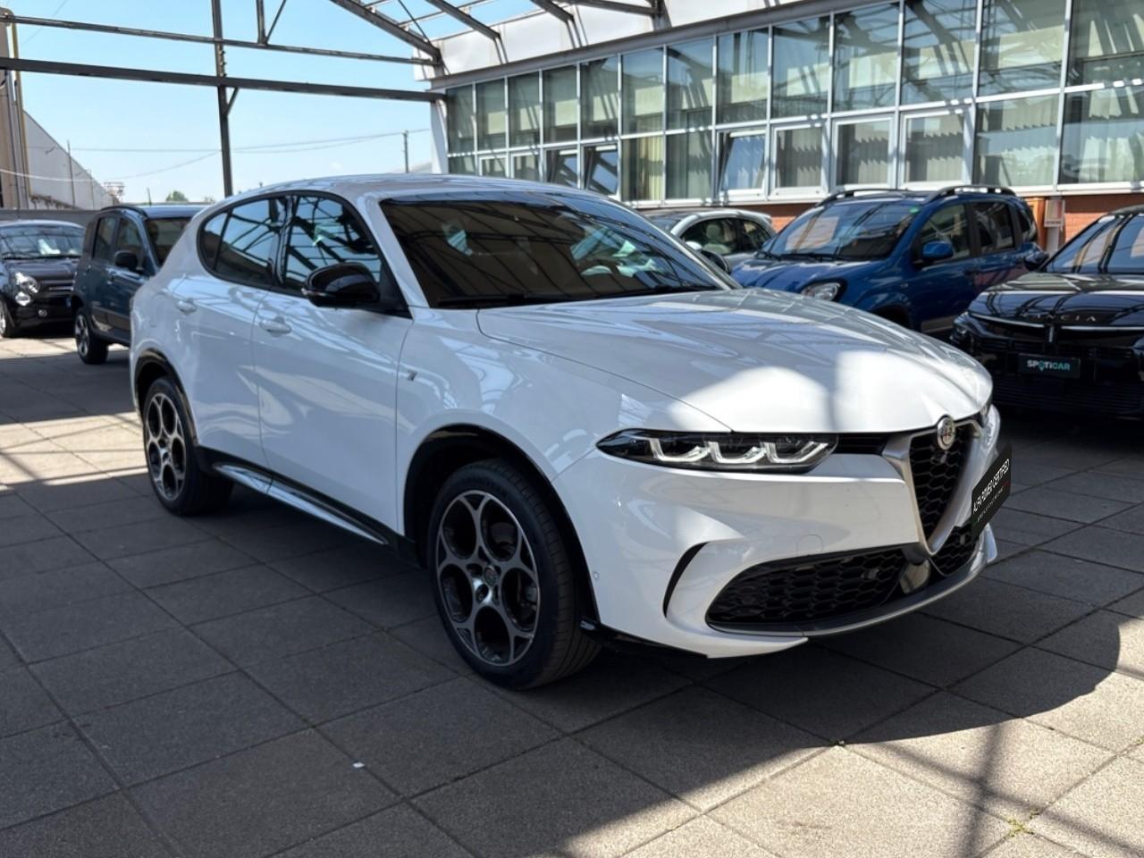 Alfa Romeo Alfa Romeo Tonale usata 14