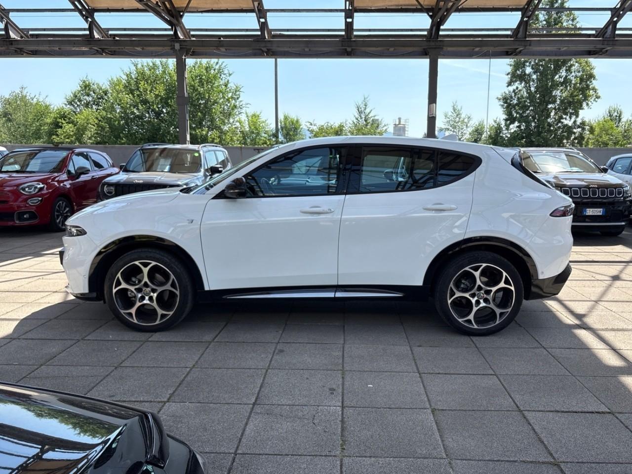 Alfa Romeo Alfa Romeo Tonale usata 15