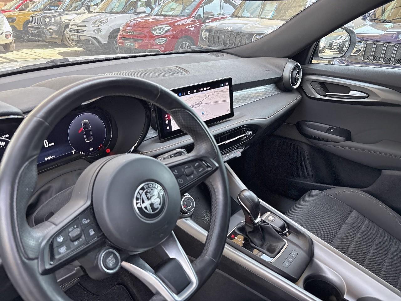 Alfa Romeo Alfa Romeo Tonale usata 19
