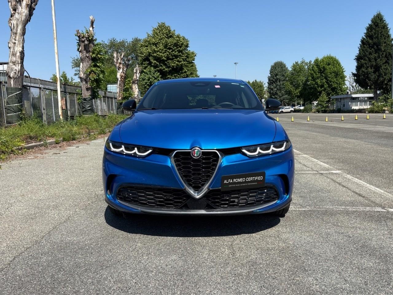 Alfa Romeo Alfa Romeo Tonale usata 11