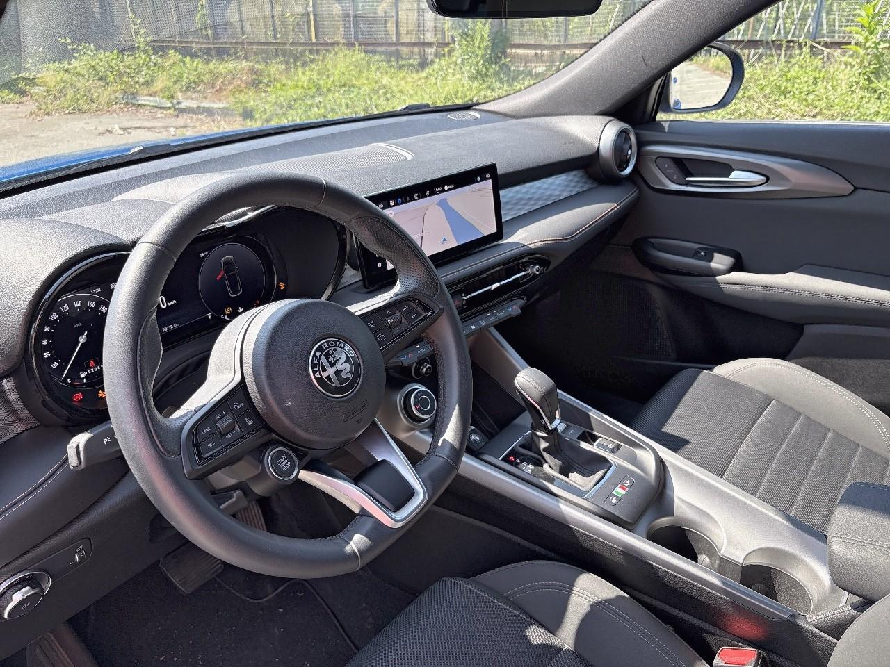 Alfa Romeo Alfa Romeo Tonale usata 19