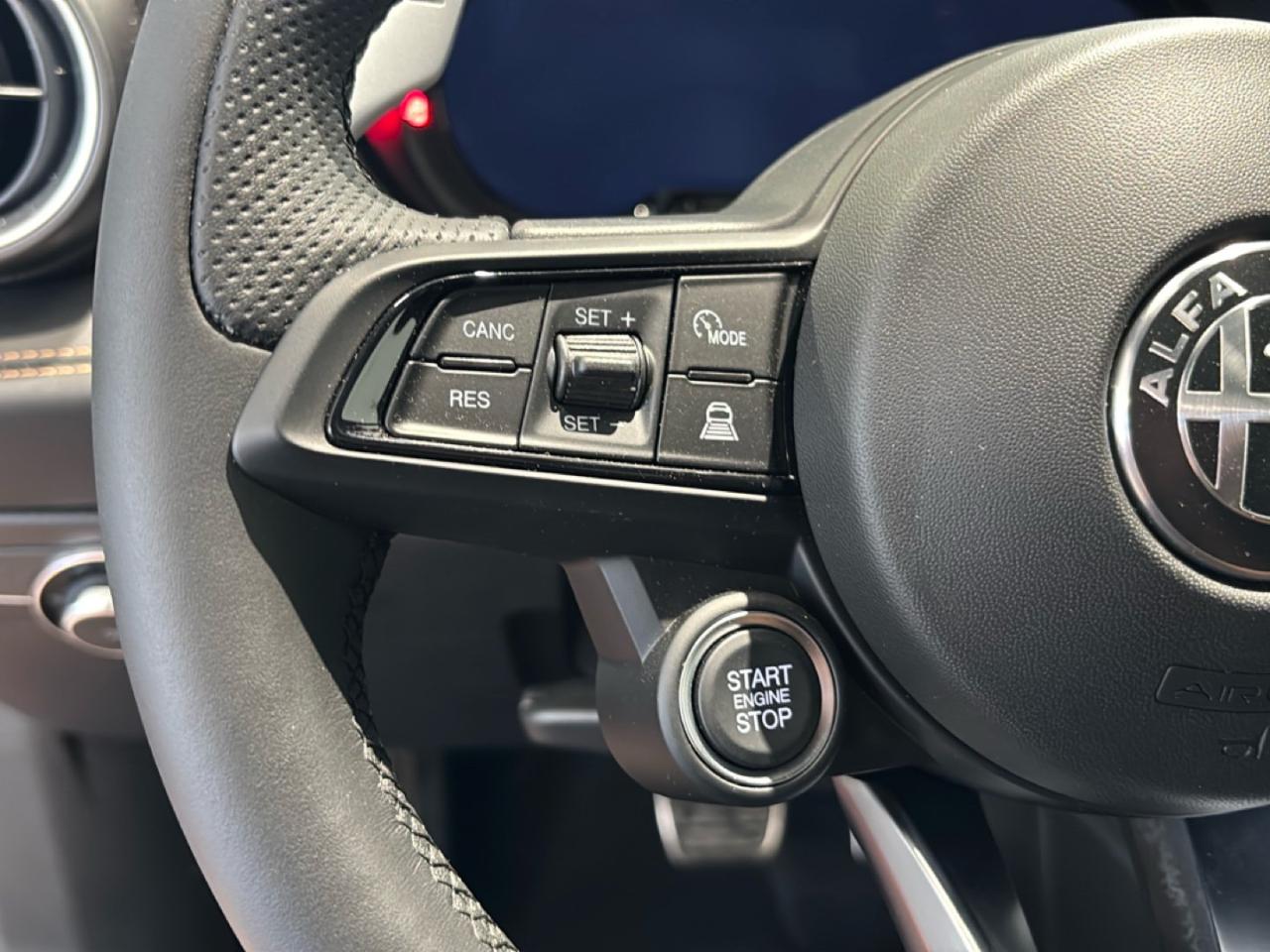 Alfa Romeo Alfa Romeo Tonale usata 5
